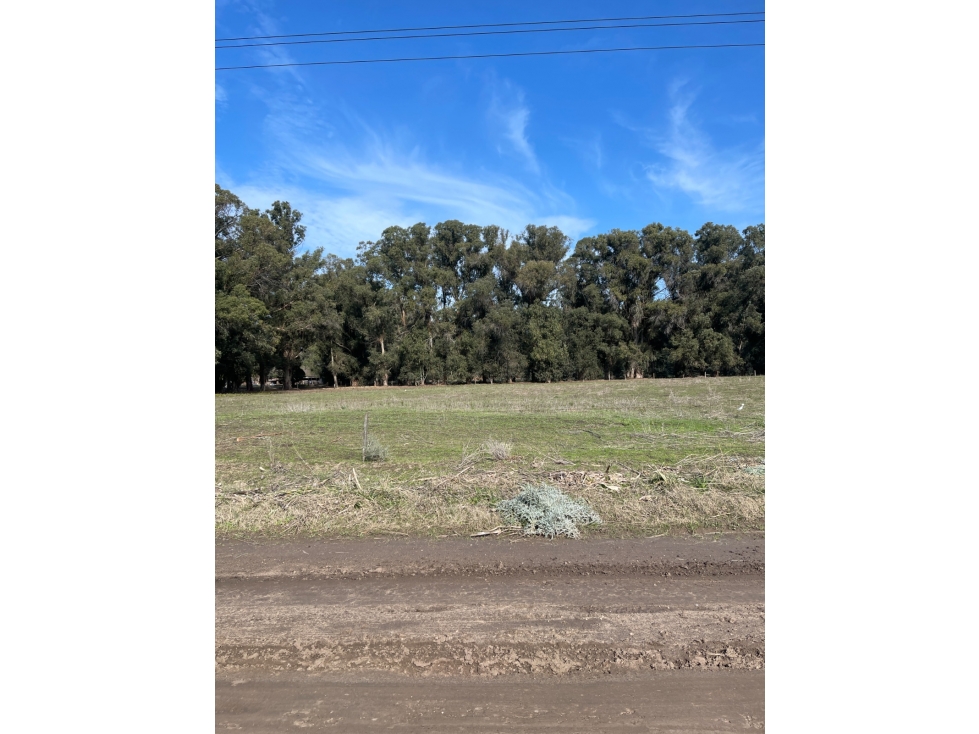 terreno sobre calle 187 y 68 de 500m2 - 3