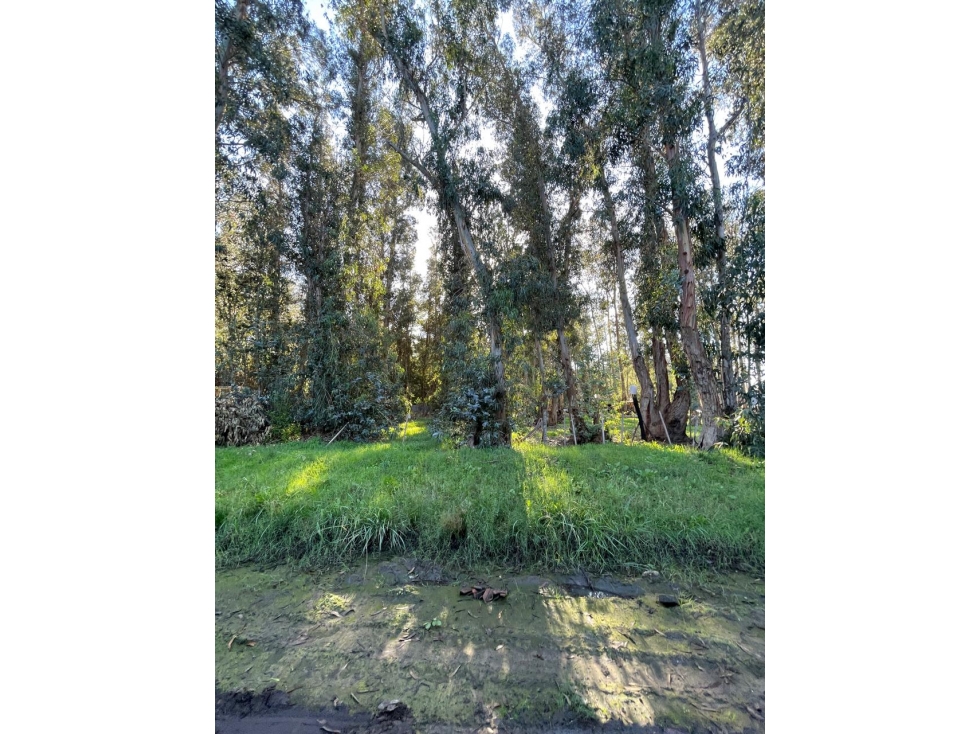 terreno Necochea calle 199 entre 66 y 64 - 5