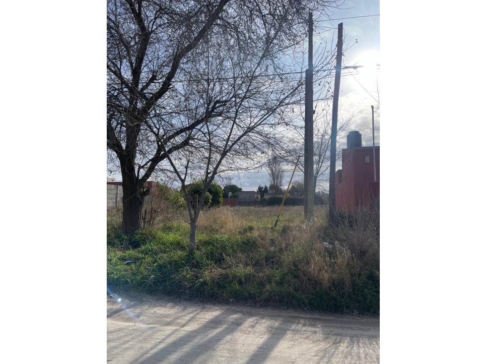 Terreno zona parque - 4