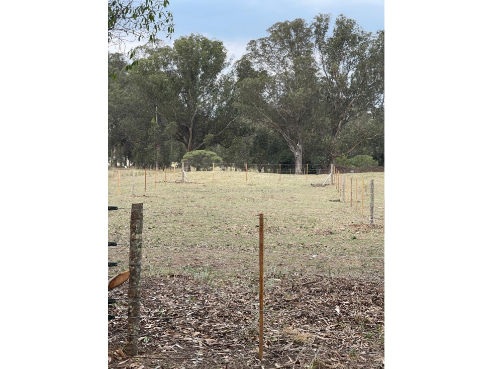 terreno sobre 181 y 62 - 5