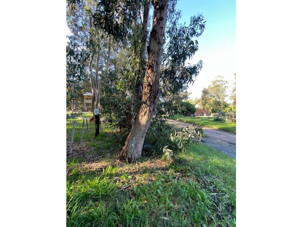 terreno Necochea calle 199 entre 66 y 64 - 6