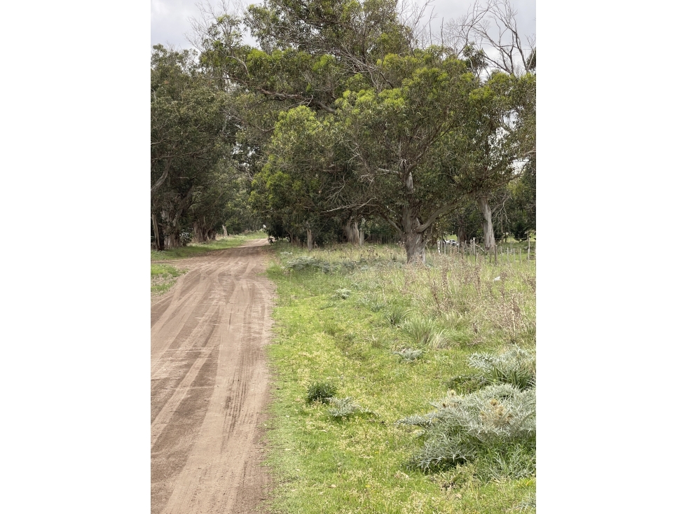 terreno sobre calle 60 entre 207 y 209 - 5
