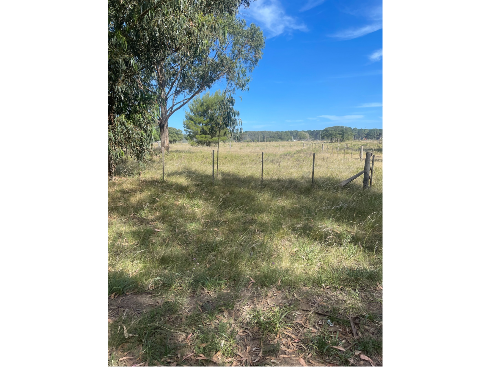 terreno parque calle 60 entre 173 y 175 - 6