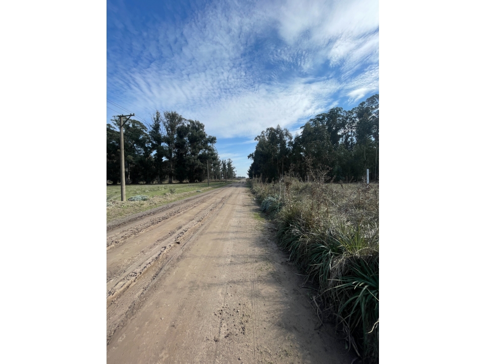 terreno sobre calle 187 y 68 de 500m2 - 6