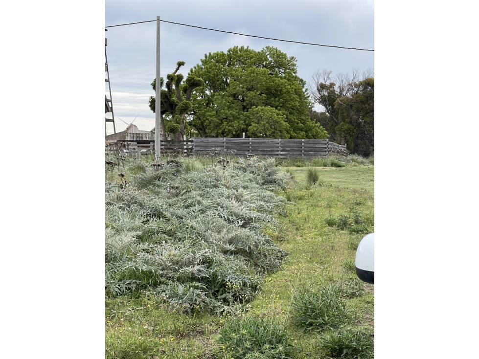 terreno sobre calle 60 entre 207 y 209 - 6