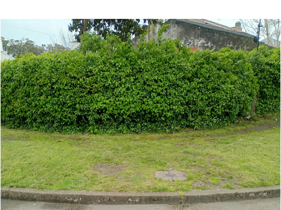 Venta lote Parque Luro, Derqui y Rejon