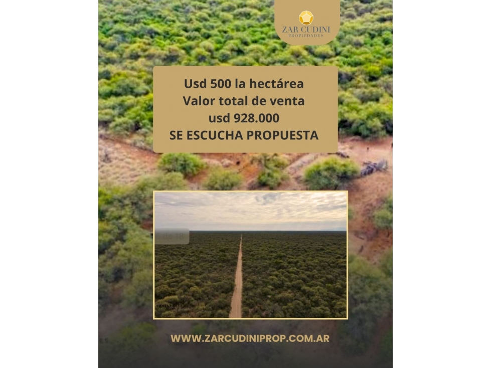 CAMPO 1856 H ALMBRADO EN VILLA DOLORES CON TITULOS PERFECTO - 3
