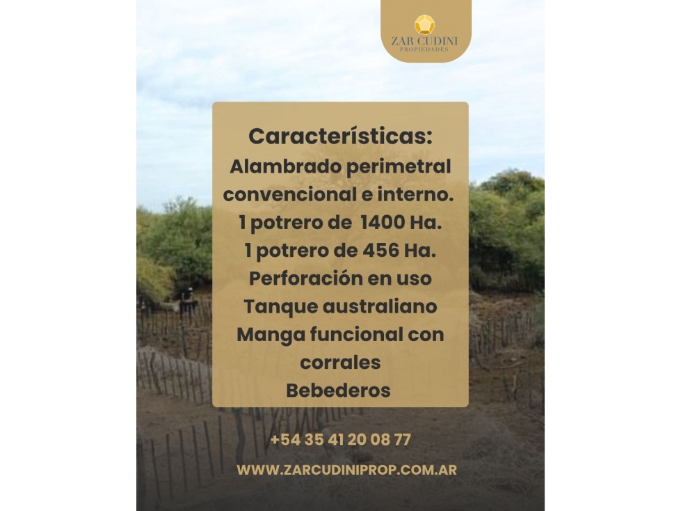 CAMPO 1856 H ALMBRADO EN VILLA DOLORES CON TITULOS PERFECTO - 4