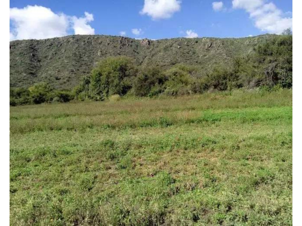 VENTA 78 HECTAREAS SAN LUIS AGRICULTURA ECOLOGICA TURISMO ORGANICO - 2