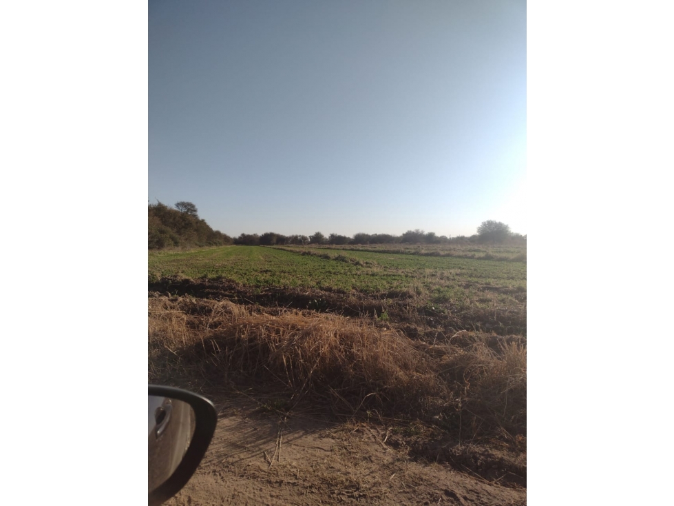 VENTA CAMPO 320 HA QUINES LA CANDELARIA SAN MIGUEL SAN LUIS - 1