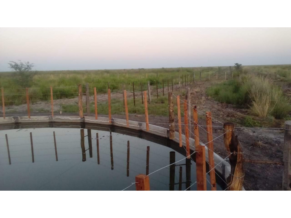 ALQUILER CAMPO SANTIAGO DEL ESTERO 800 Y 1100 HECTAREAS GANADERO - 3