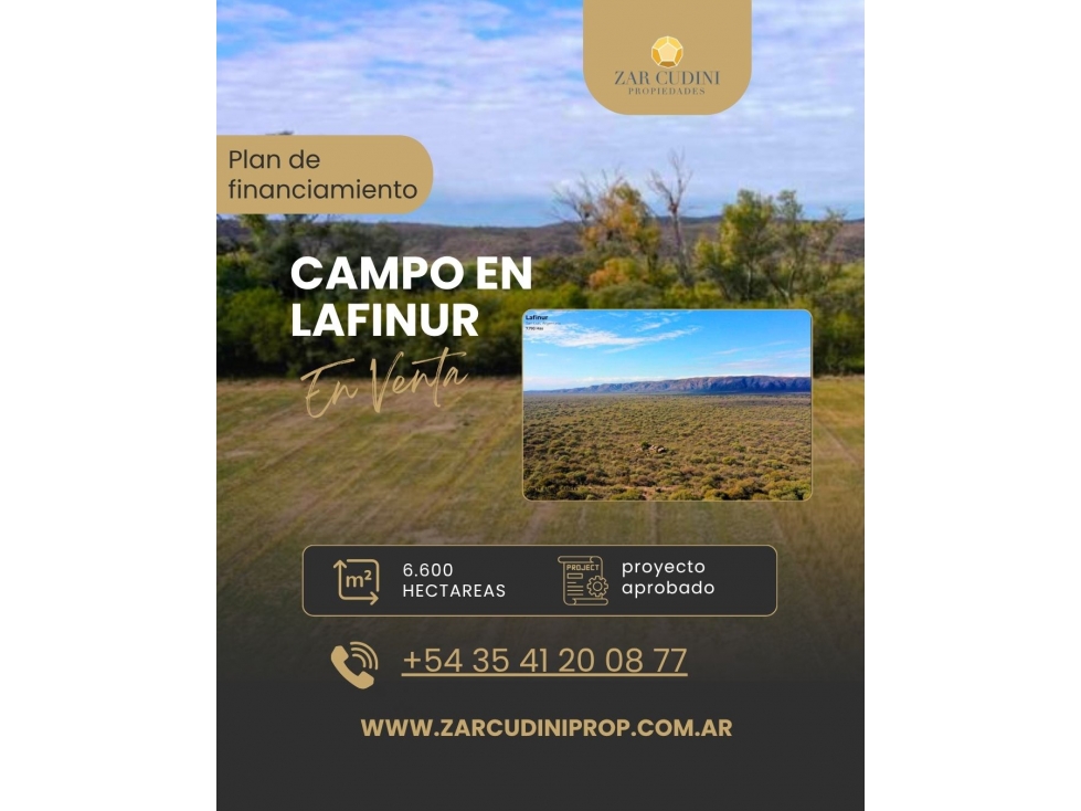 CAMPO EN LAFINUR 6.600 H. EN SAN LUIS CON FINANCIAMIENTO - 1