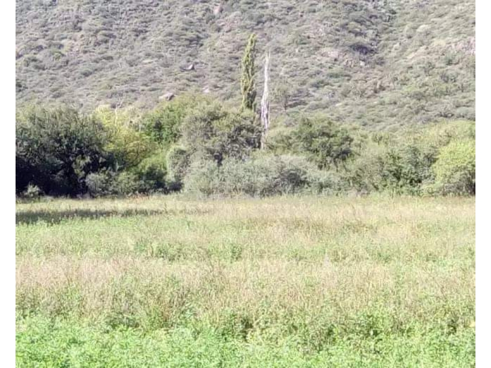 VENTA 78 HECTAREAS SAN LUIS AGRICULTURA ECOLOGICA TURISMO ORGANICO - 3