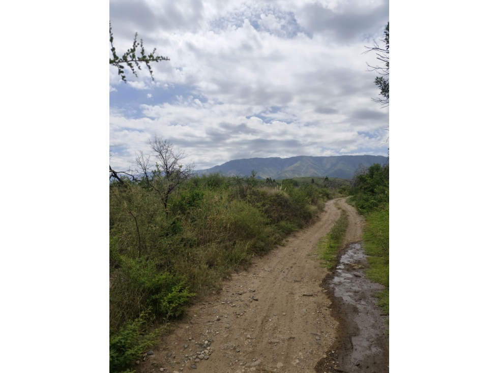 VENTA CAMPO TRASLASIERRAS LUYABA 4 HECTAREAS VEGETACION ASEQUIAS - 4