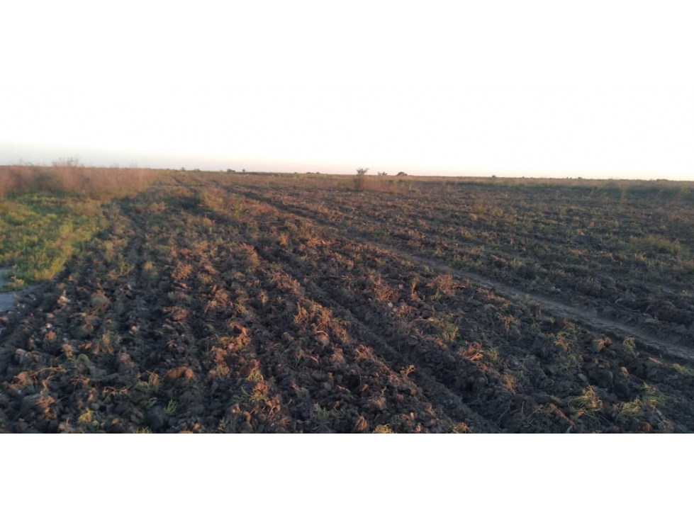 ALQUILER CAMPO SANTIAGO DEL ESTERO 800 Y 1100 HECTAREAS GANADERO - 5