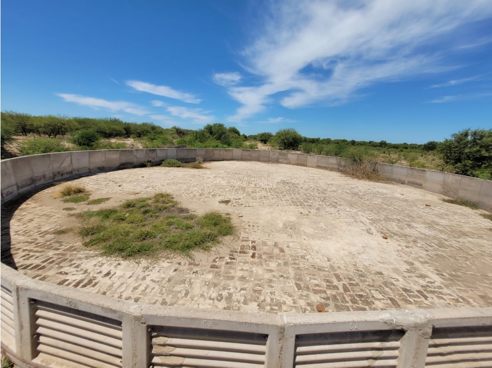 CAMPO EN VENTA EN SANTIAGO DEL ESTERO 426 HA TRES LAGUNAS - 3