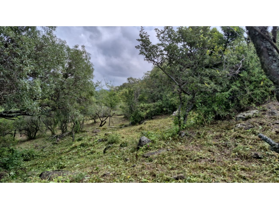 Lote con vista panoramica en Cuesta Blanca - 3