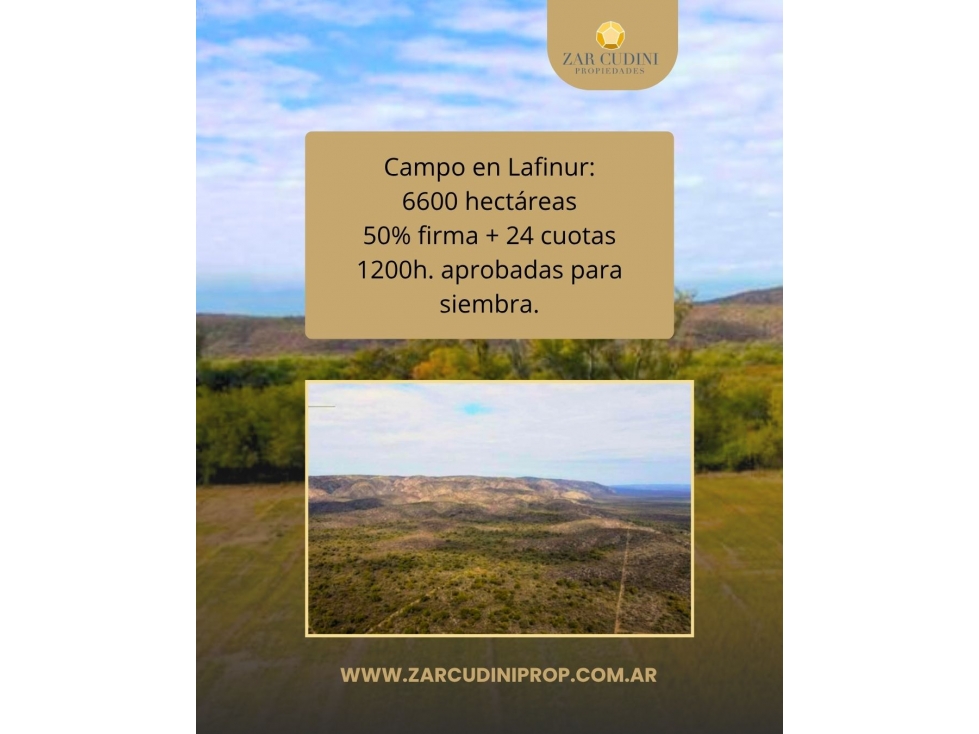 CAMPO EN LAFINUR 6.600 H. EN SAN LUIS CON FINANCIAMIENTO - 3