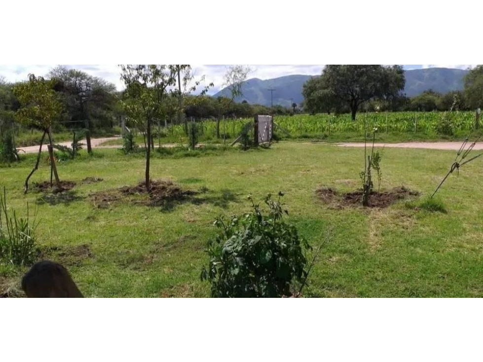VENTA CAMPO 11 HECTAREAS SAN LUIS PAPAGAYOS MERLO - 1