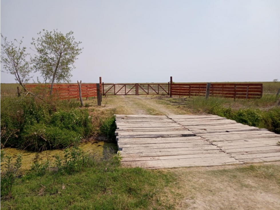 ALQUILER CAMPO SANTIAGO DEL ESTERO 800 Y 1100 HECTAREAS GANADERO - 2