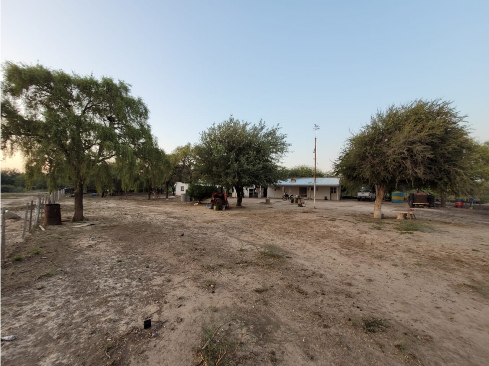 CAMPO EN VENTA EN SANTIAGO DEL ESTERO 426 HA TRES LAGUNAS - 2