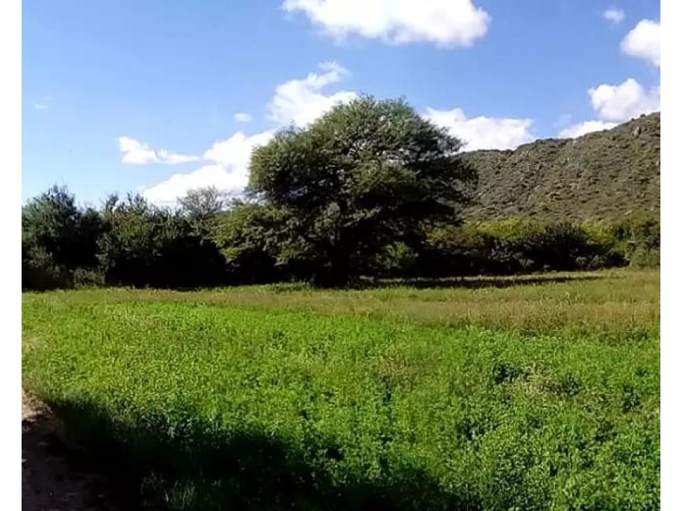 VENTA 78 HECTAREAS SAN LUIS AGRICULTURA ECOLOGICA TURISMO ORGANICO - 5