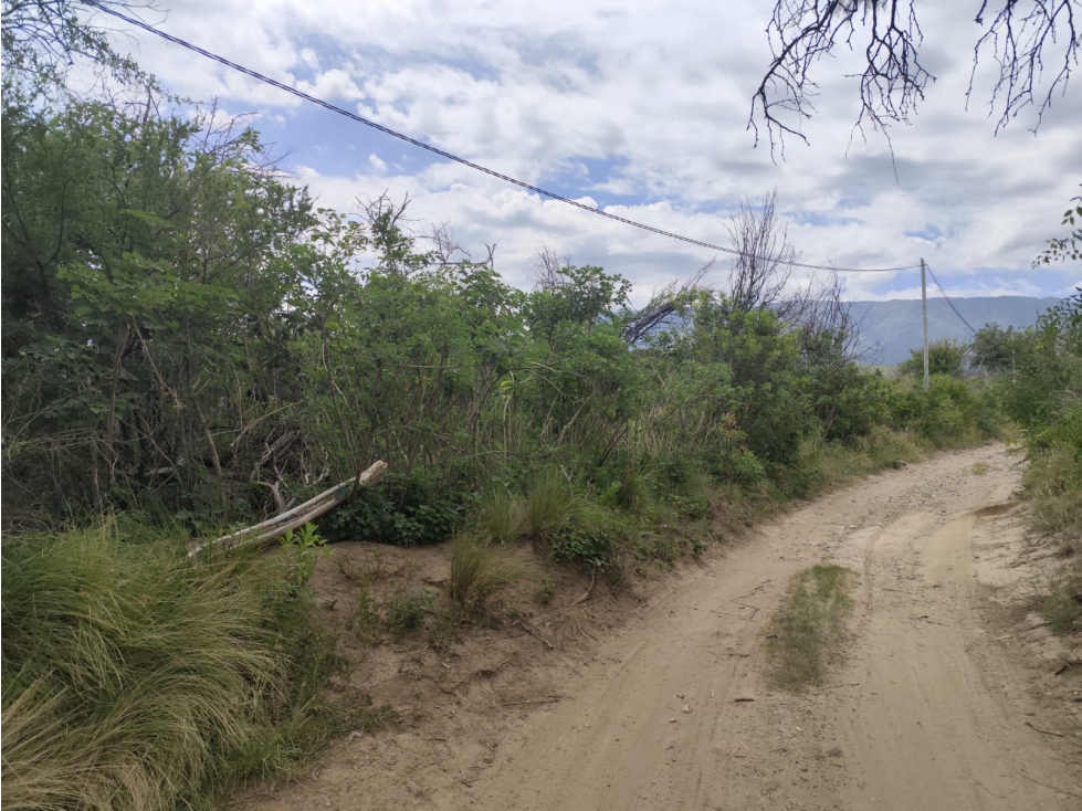 VENTA CAMPO TRASLASIERRAS LUYABA 4 HECTAREAS VEGETACION ASEQUIAS - 2