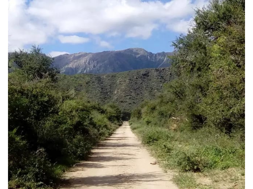 VENTA 78 HECTAREAS SAN LUIS AGRICULTURA ECOLOGICA TURISMO ORGANICO - 6