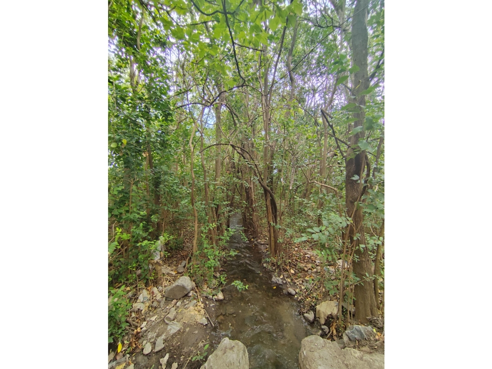 VENTA CAMPO TRASLASIERRAS LUYABA 4 HECTAREAS VEGETACION ASEQUIAS - 6