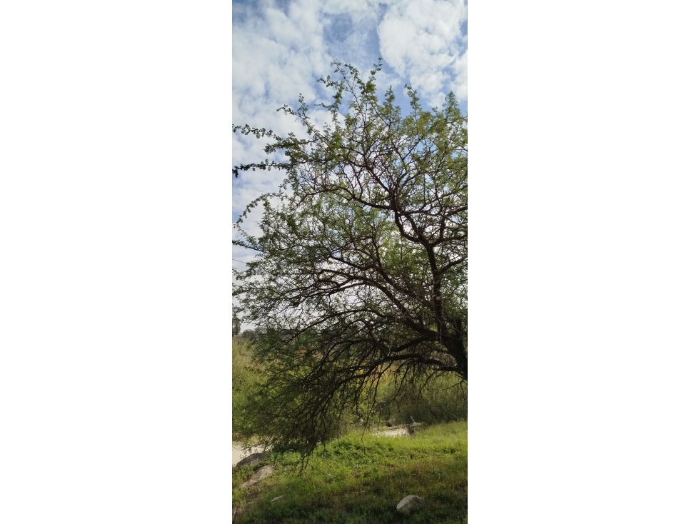 LOTE EN VENTA CON FINANCIACION FRENTE AL RIO SAN ANTONIO - 6