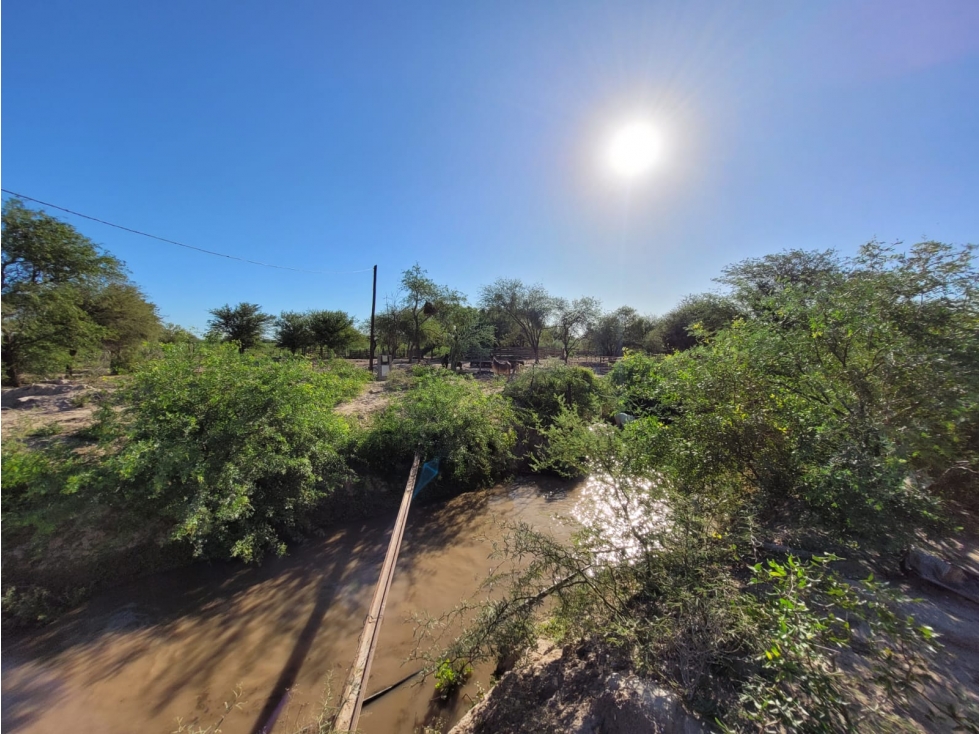 CAMPO EN VENTA EN SANTIAGO DEL ESTERO 426 HA TRES LAGUNAS - 4