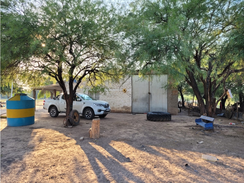 CAMPO EN VENTA EN SANTIAGO DEL ESTERO 426 HA TRES LAGUNAS - 5