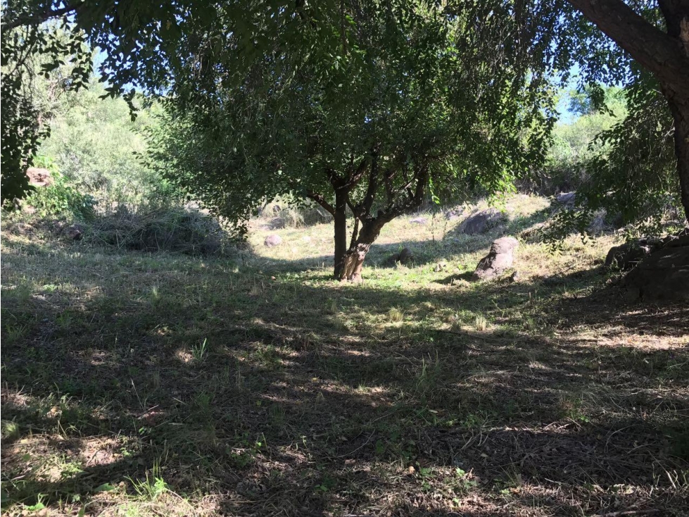 VENTA LOTE TERRENO PQUE. SIQUIMAN IDEAL DESARROLLO TURISTICO - 1