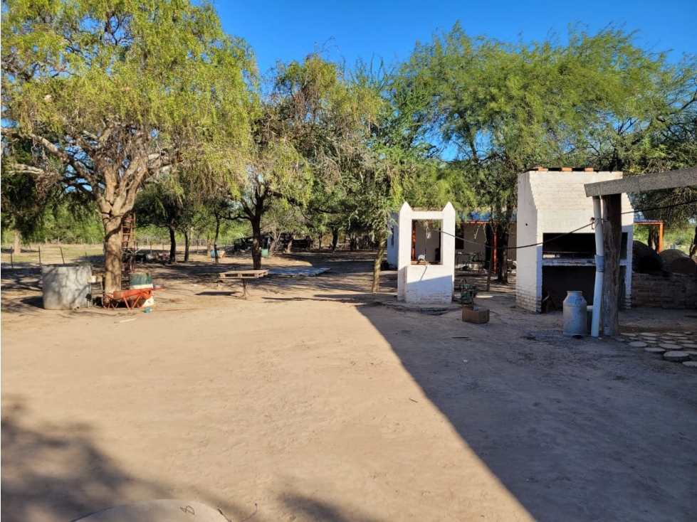 CAMPO EN VENTA EN SANTIAGO DEL ESTERO 426 HA TRES LAGUNAS - 6