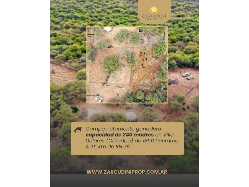 CAMPO 1856 H ALMBRADO EN VILLA DOLORES CON TITULOS PERFECTO - 2