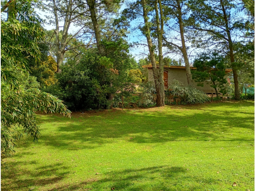 LOTE UNIFAMILIAR en el bosque de Valeria del Mar, a 200 de Cariló - 5