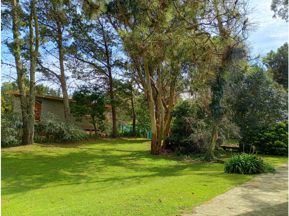 LOTE UNIFAMILIAR en el bosque de Valeria del Mar, a 200 de Cariló - 4
