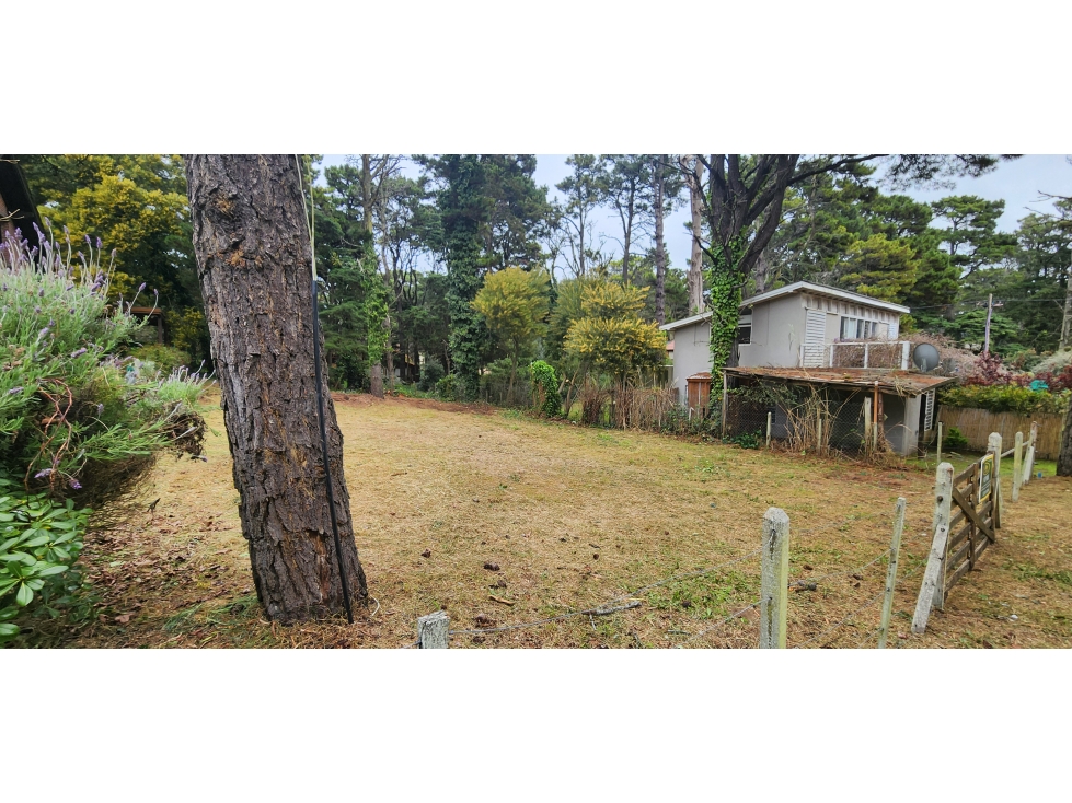 LOTE UNIFAMILIAR EN EL BOSQUE DE VALERIA DEL MAR..! - 6