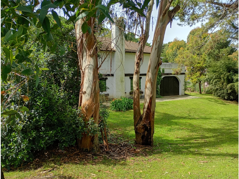 LOTE UNIFAMILIAR en el bosque de Valeria del Mar, a 200 de Cariló - 6