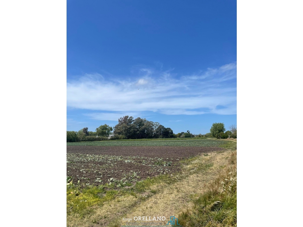 VENTA FRACCION 7 HAS 100% AGRICOLAS RUTA 226 SIERRA DE LOS PADRES — foto 4