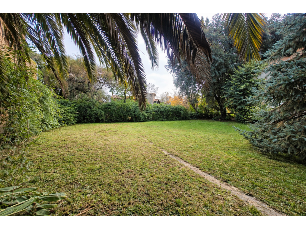 VENTA DE DOS LOTES CON VIVIENDA EN SANTA MONICA - 3