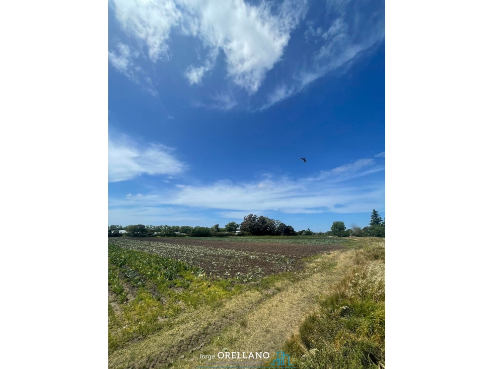 VENTA FRACCION 7 HAS 100% AGRICOLAS RUTA 226 SIERRA DE LOS PADRES — foto 5
