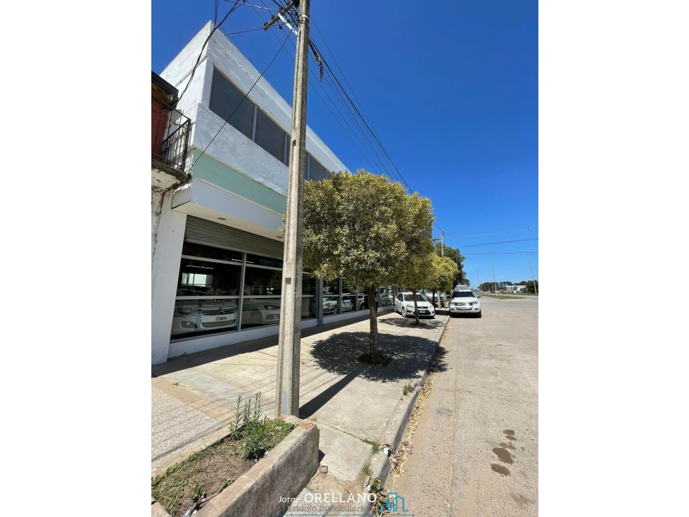ALQUILER IMPORTANTE PROPIEDAD APTA MULTIPLES DESTINOS BALCARCE - 2