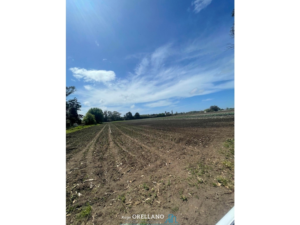 VENTA FRACCION 7 HAS 100% AGRICOLAS RUTA 226 SIERRA DE LOS PADRES — foto 6