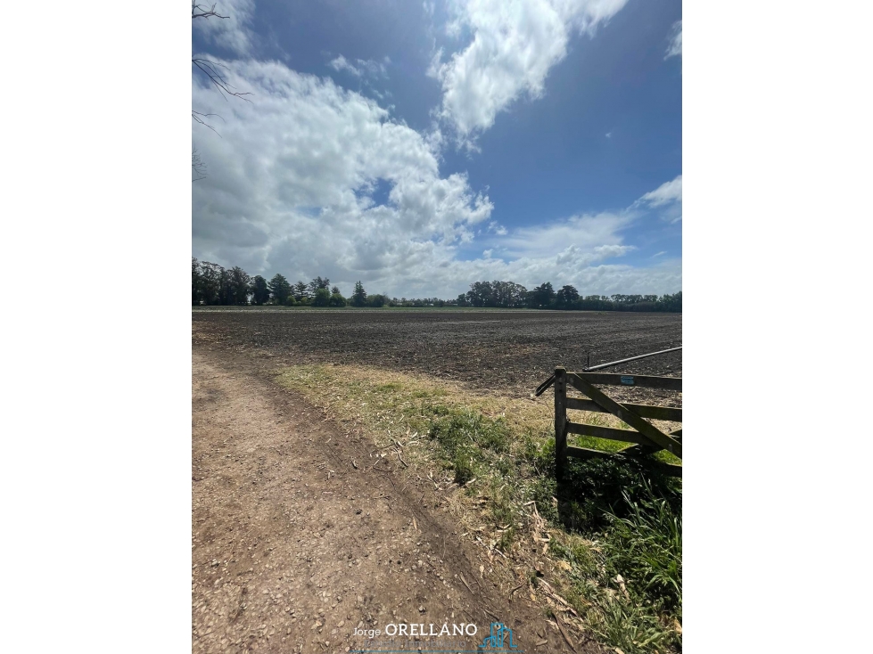 VENTA FRACCION 7 HAS 100% AGRICOLAS RUTA 226 SIERRA DE LOS PADRES — foto 2