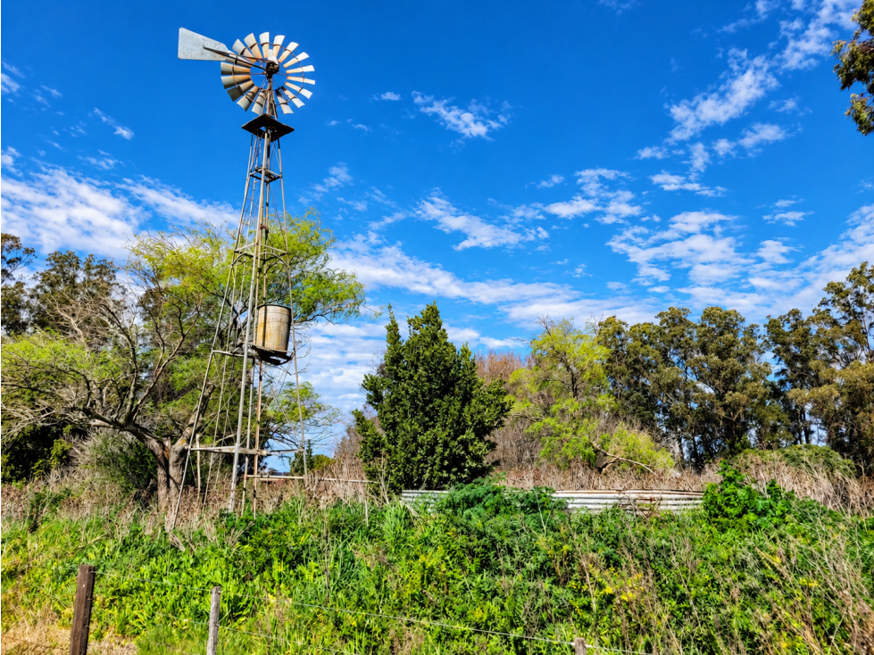 VENTA CAMPO AGRICOLA DE 88 ha General Alvarado — foto 5