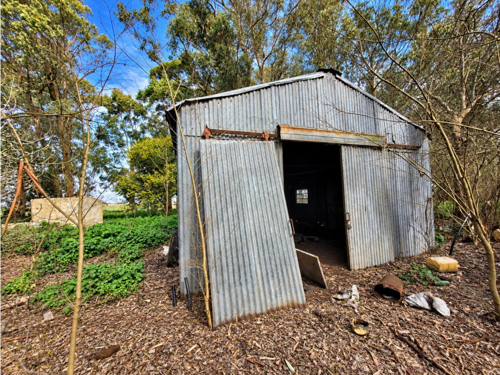 VENTA CAMPO AGRICOLA DE 88 ha General Alvarado — foto 6