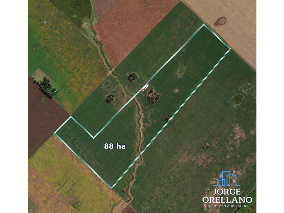 VENTA CAMPO AGRICOLA DE 88 ha General Alvarado