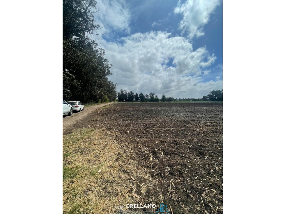 VENTA FRACCION 7 HAS 100% AGRICOLAS RUTA 226 SIERRA DE LOS PADRES — foto 3