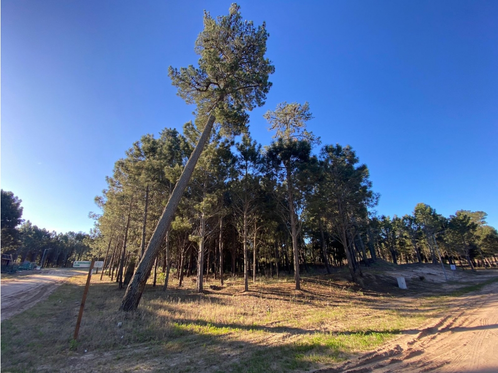 LOTE EN BARRIO PRIVADO PIONEROS (LOTE 21 Mz 260) — foto 2